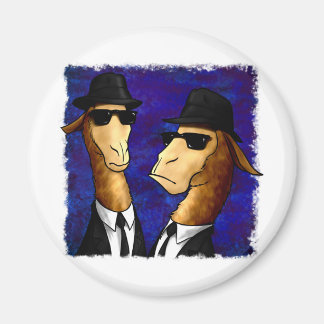 Aimant Les frères Lama