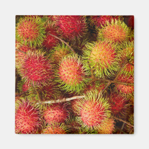 Aimant Les fruits du rambutan au marché de Can Duoc
