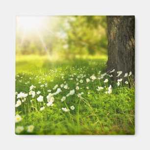 Aimant Les Joys du printemps
