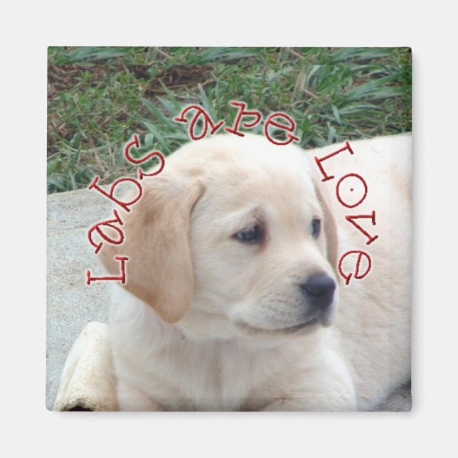 Aimant Les laboratoires sont l'amour (Devant)