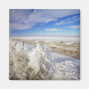 Aimant Les manteaux de Hoarfrost se sont écroulés et le