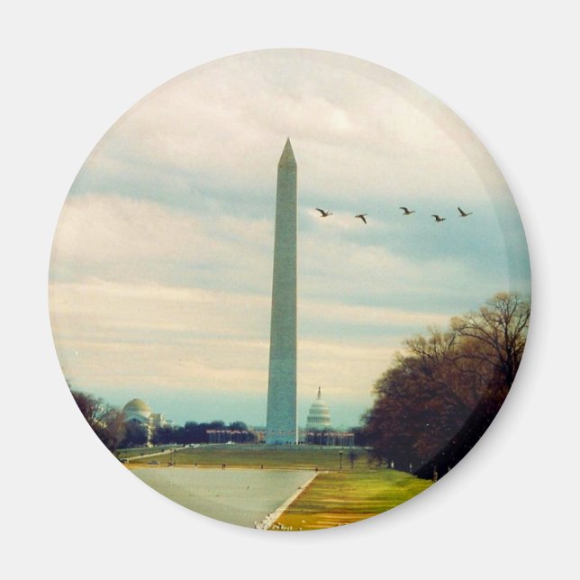 Aimant les oiseaux du monument de washington (Devant)