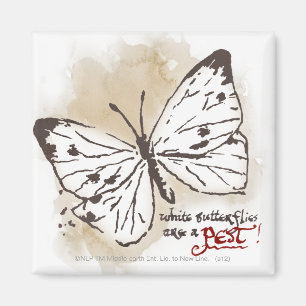 Aimant Les papillons blancs sont un animal nuisible