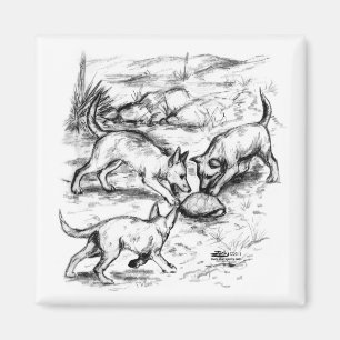 Aimant Les petits coyotes