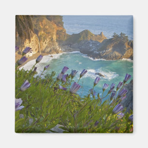 Aimant Les Pittoresques McWay Falls tombent sur la plage.