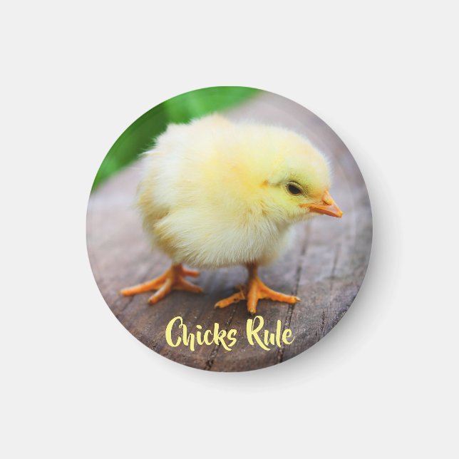 Aimant Les poussins Règle Bébé mignon Amant rond de poule (Devant)