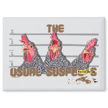 Les suspects habituels de POULET—Poules rocheuses 