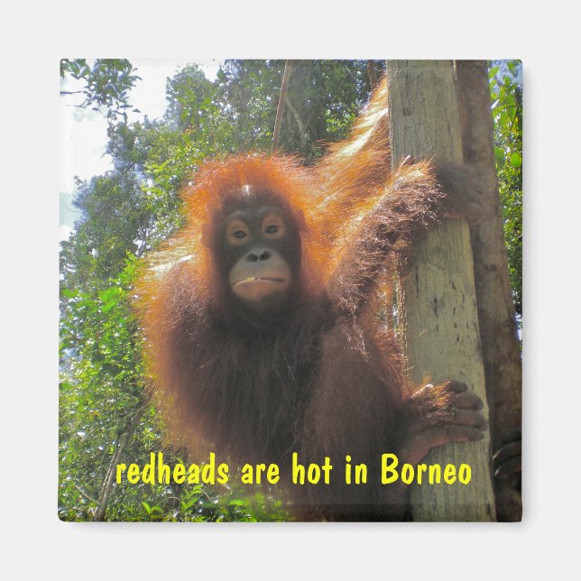 Aimant Les Têtes Rouges Sont Des Humours Chauds (Devant)