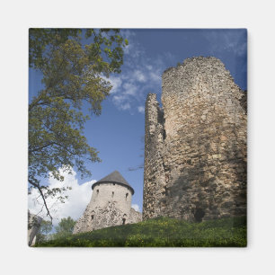 Aimant Lettonie, Nord-Est de la Lettonie, région de Vidz