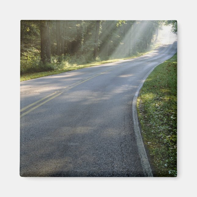 Aimant Lever du soleil par le brouillard le long de Green (Devant)