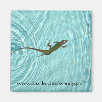 Lézard de natation
