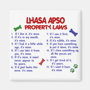 Aimant LHASA APSO, propriété Lois 2