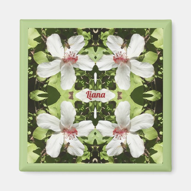 Aimant LIANA ~ EASTER ~ White Hibiscus Flowers ~ (Devant)