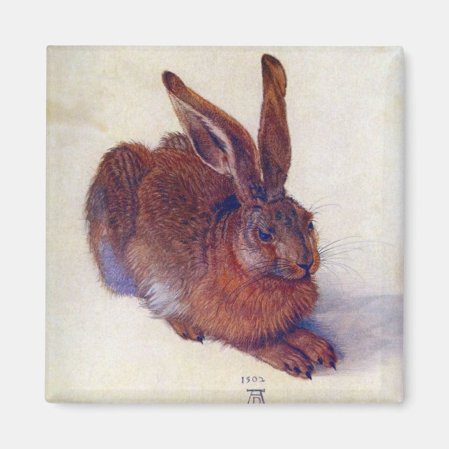 Aimant Lièvre jeune par Albrecht Durer, Art Renaissance (Devant)