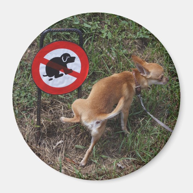 Aimant L'ignorance est néfaste (Devant)