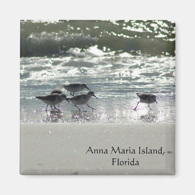 Aimant L'île Anna Maria, Floride (Devant)