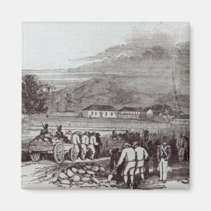 Aimant L'Île Norfolk