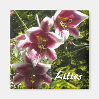 Lilies