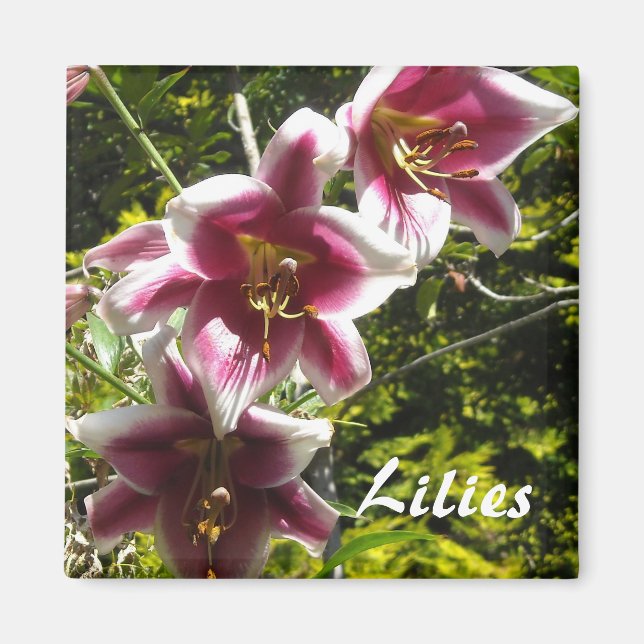 Aimant Lilies (Devant)