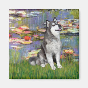 Aimant Lilies 2 - Malamute en Alaska