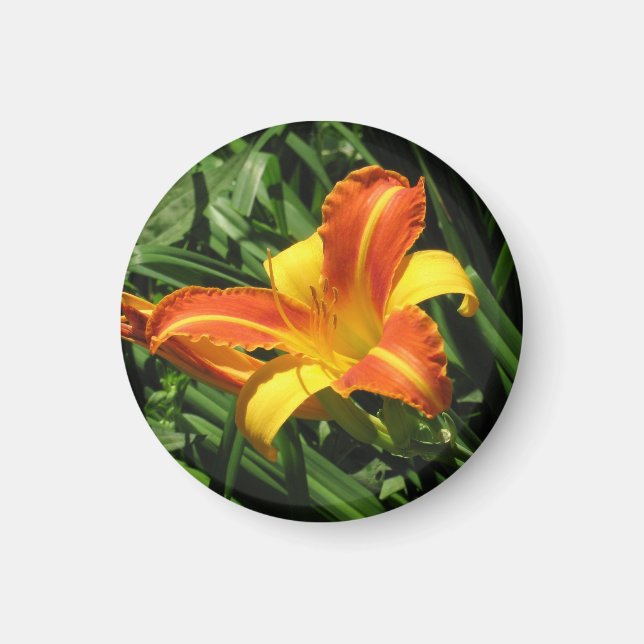 Aimant Lily orange et jaune (Devant)
