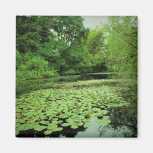 Aimant Lily Pads sur le Pond