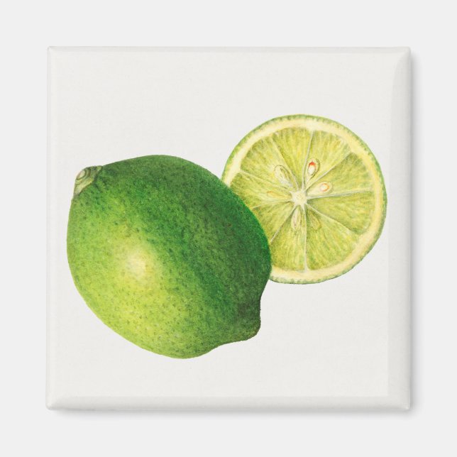 Aimant lime (Devant)