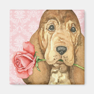 Aimant Limier rose de Valentine