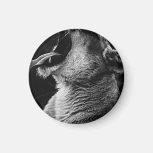 Aimant lion