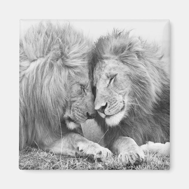 Aimant Lion (Devant)