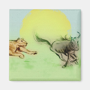 Aimant Lion chassant Buffalo dans l'aimant carré sauvage