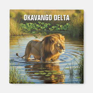 Aimant Lion dans le delta de l'Okavango Botswana