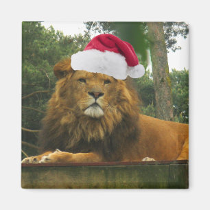 Aimant Lion de Noël utilisant le casquette de Père Noë