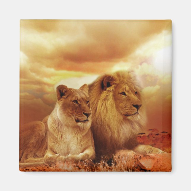 Aimant Lions (Devant)