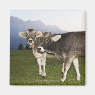 Aimant L'Italie, alto l'Adige