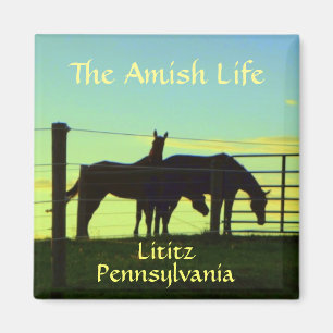 Aimant Lititz ! Chevaux Amish au coucher du soleil.