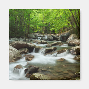 Aimant Little Pigeon River at Greenbrier