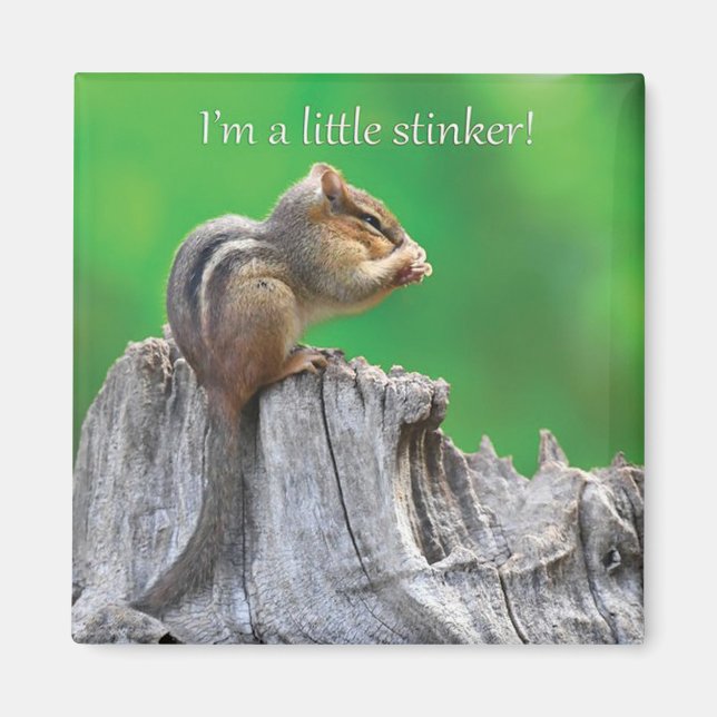 Aimant Little Stinker (Devant)