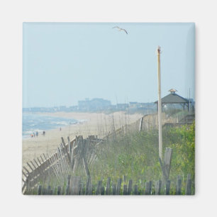 Aimant Littoral de la Caroline du Nord de canard