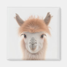 Aimant Llama Cute (Alpaca) | Collectable