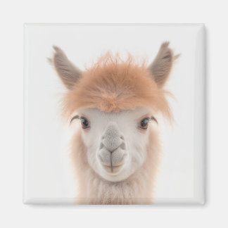 Aimant Llama Cute (Alpaca) | Collectable