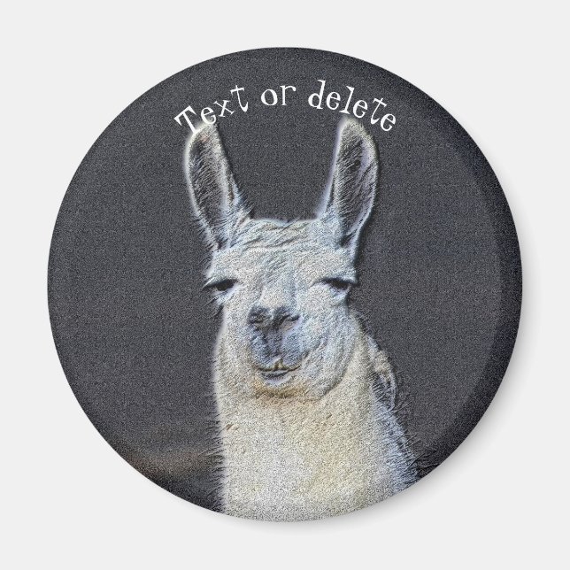Aimant Llama Face Animal Art Personalized (Devant)