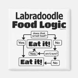 Aimant Logique alimentaire du Labradoodle