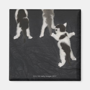 Aimant Londres, Angleterre, R-U 2