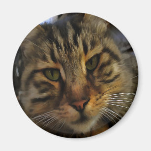Aimant Long Haired Tabby Chat Artistique Portrait d'anima
