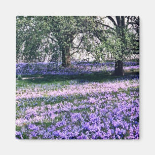 Aimant Longwood fait du jardinage au printemps