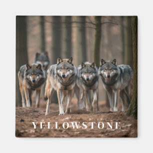 Aimant Loup de Yellowstone