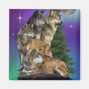Aimant loup et Lune