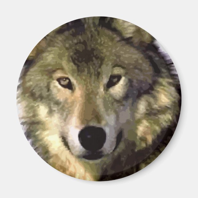 Aimant Loup gris (Devant)