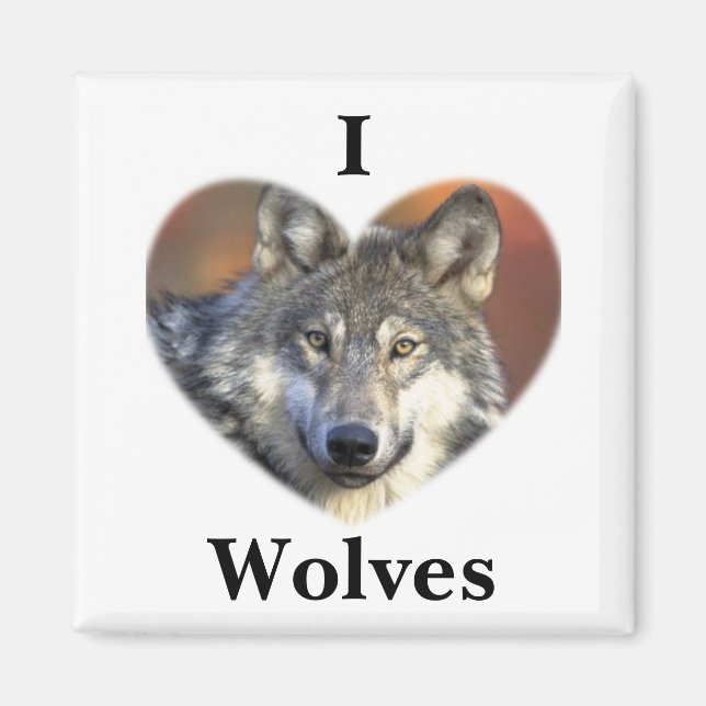 Aimant Loup gris (Devant)